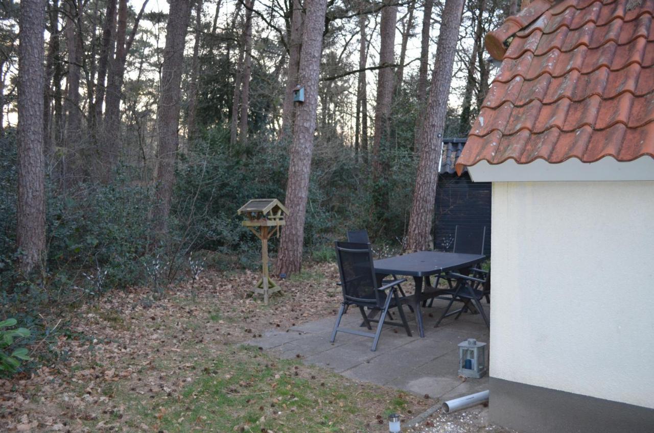Casa de Férias Wittebergen25 IJhorst